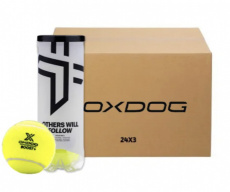 OXDOG Padelballen doos - 24 * 3